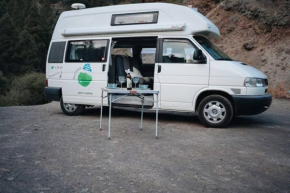 Camper Mulagua